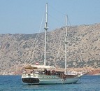 Delfin VI