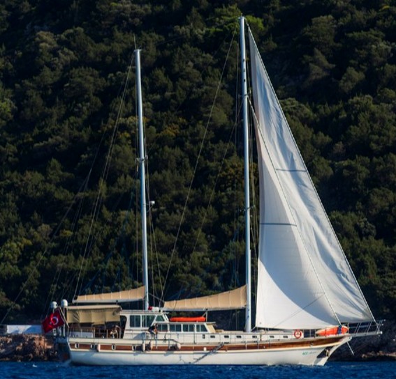 Ece Arina