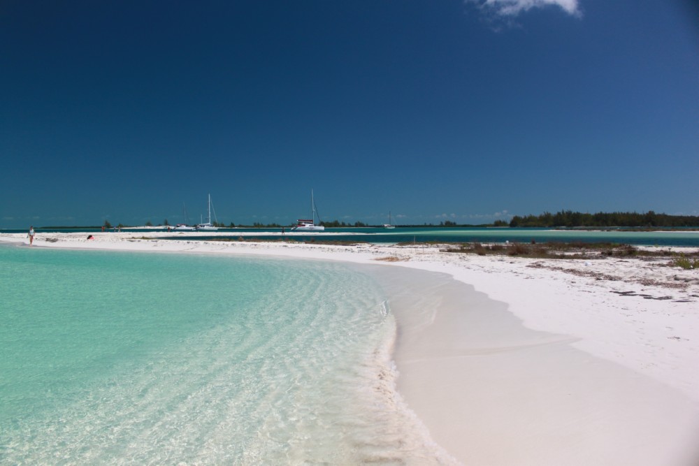 Caraibi