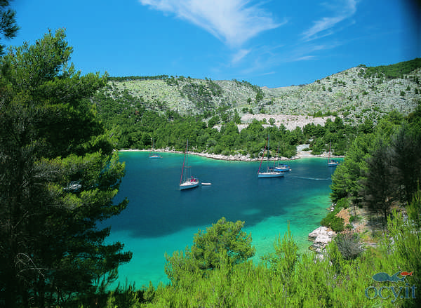 Mediterraneo