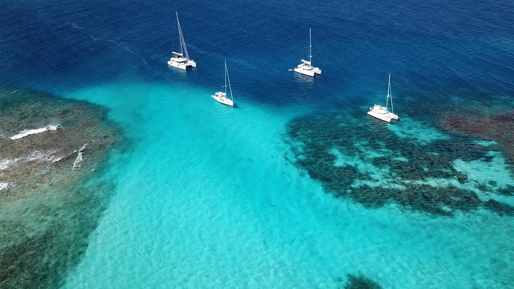 Caraibi